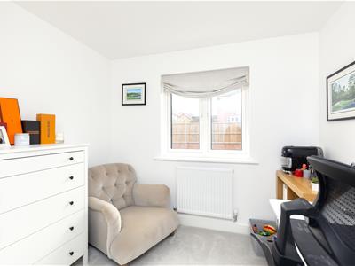 Picture 23